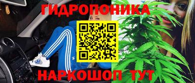 МДМА Камышлов